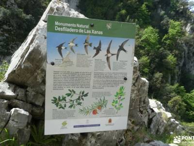 Pequeño Cares-Desfiladero Xanas-Cabo Peñas;bosques encantados puente de la constitución piraguas hoc